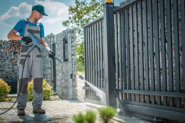 Animal Enclosure Cleaning in Warson Woods, MO